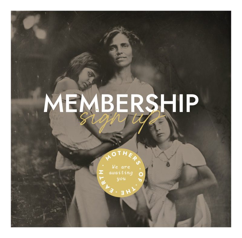 Community Member
